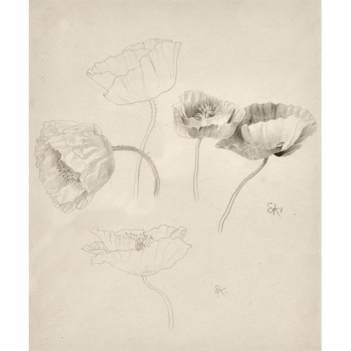 ERNST KREIDOLF : Mohnblumen (DOBIASCHOFSKY AUKTIONEN AG)