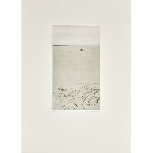 BILL WOODROW : 'Pern and Pashm' (DOBIASCHOFSKY AUKTIONEN AG)
