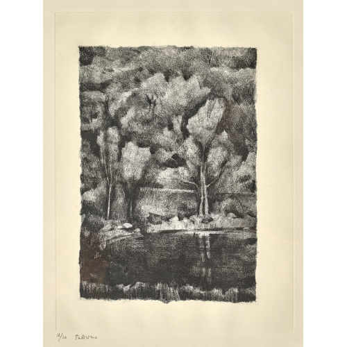 G�RARD DE PAL�ZIEUX : 'L'�tang' (DOBIASCHOFSKY AUKTIONEN AG)