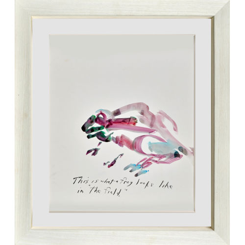 RAYMOND PETTIBON : 'This is what a frog looks like in the field' (DOBIASCHOFSKY AUKTIONEN AG)