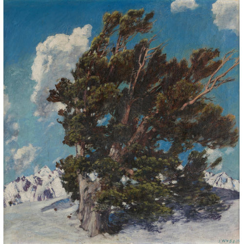 PAUL WYSS : Winterliche Berglandschaft mit Arve (DOBIASCHOFSKY AUKTIONEN AG)