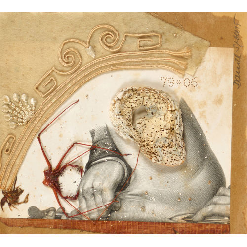 DANIEL SPOERRI : Assemblage (DOBIASCHOFSKY AUKTIONEN AG)
