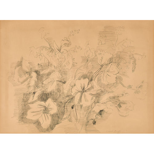 RAOUL DUFY : Fleurs (DOBIASCHOFSKY AUKTIONEN AG)