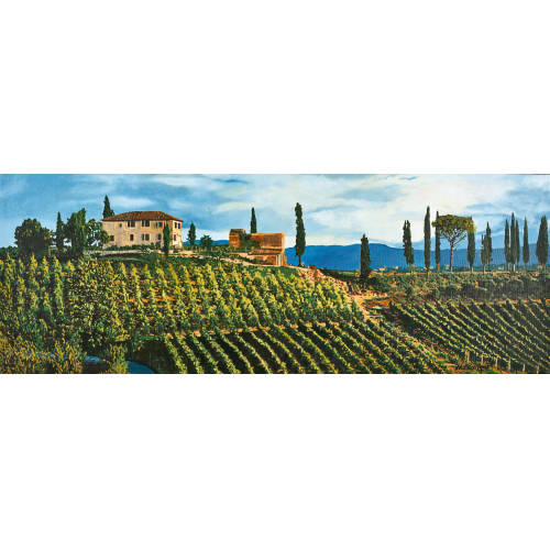 HUBERT NANZER : 'Unter der Toscana Sonne 2' (DOBIASCHOFSKY AUKTIONEN AG)