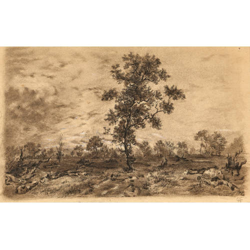 JOHANN HEINRICH FISCHBACH : Hain unter Wolkenhimmel (DOBIASCHOFSKY AUKTIONEN AG)