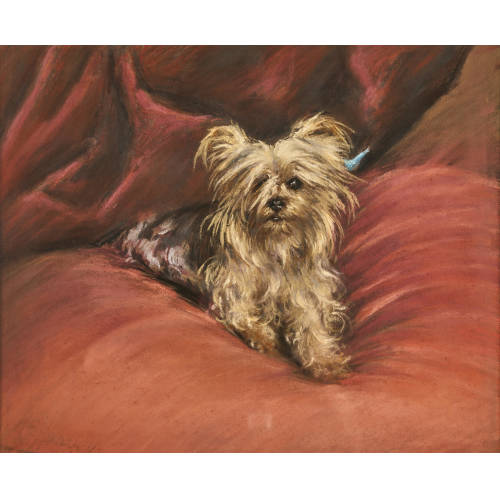 20. JH. ENGLAND : Yorkshire Terrier (DOBIASCHOFSKY AUKTIONEN AG)