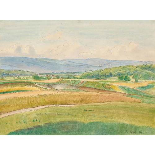 WALTER SENN : Sommerliche Feldlandschaft (DOBIASCHOFSKY AUKTIONEN AG)