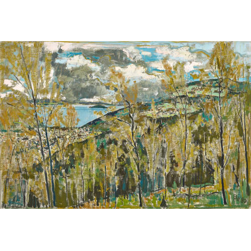 FRED BAUMANN : Blick auf den Bielersee (DOBIASCHOFSKY AUKTIONEN AG)