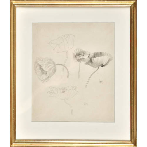 ERNST KREIDOLF : Mohnblumen (DOBIASCHOFSKY AUKTIONEN AG)