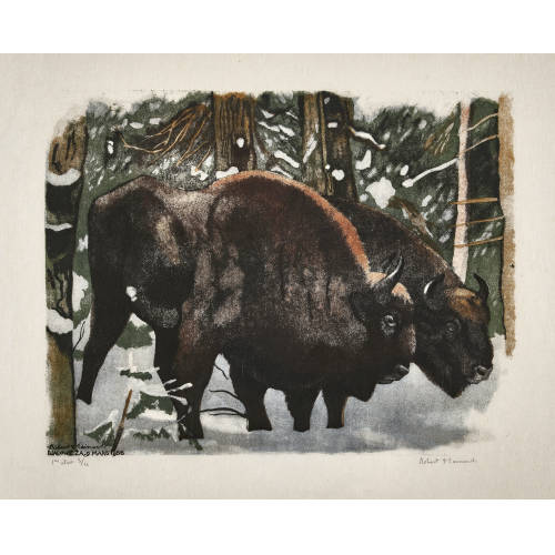 ROBERT HAINARD : 'Couple de bisons' (DOBIASCHOFSKY AUKTIONEN AG)