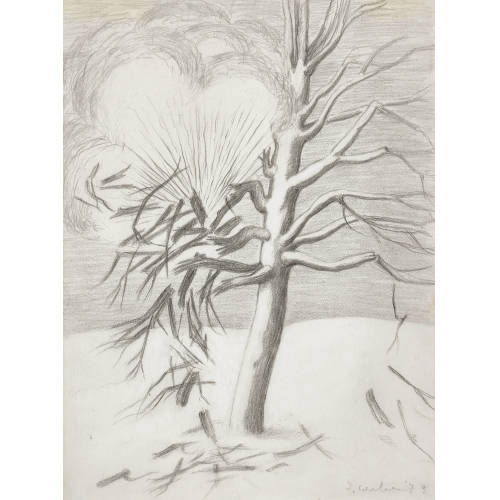ILSE WEBER : Baum im Winter (DOBIASCHOFSKY AUKTIONEN AG)