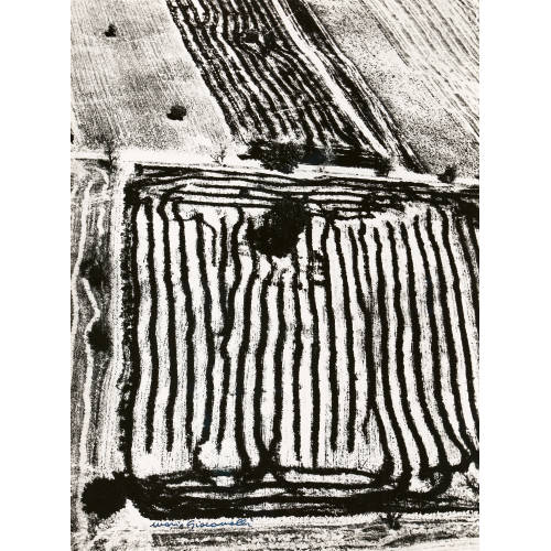 MARIO GIACOMELLI : 'Presa di coscienza sulla natura' (DOBIASCHOFSKY AUKTIONEN AG)
