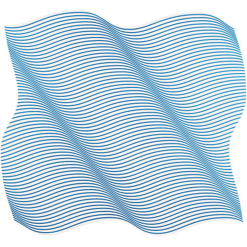 PHILIPPE DECRAUZAT : 'Flag wave - unit� ambiance' (DOBIASCHOFSKY AUKTIONEN AG)