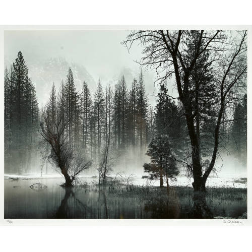 PETER GASSER : 'Yosemite, California' (DOBIASCHOFSKY AUKTIONEN AG)