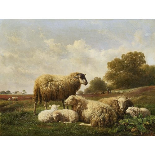 HENDRIKUS VAN DE SANDE BAKHUYZEN : Schafe auf der Weide (Dobiaschofsky Auktionen AG)