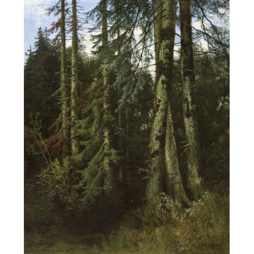 JAKOB LORENZ RDISHLI : Im Wald (Dobiaschofsky Auktionen AG)