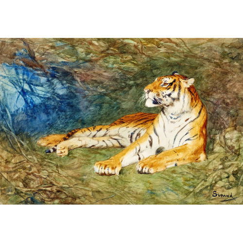 GUSTAVE SURAND : Liegender Tiger (Dobiaschofsky Auktionen AG)